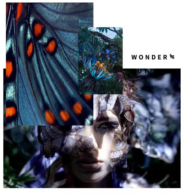 2019深圳時(shí)裝周倒計(jì)時(shí) | She's蝶變主題秀，四大看點(diǎn)提前get！