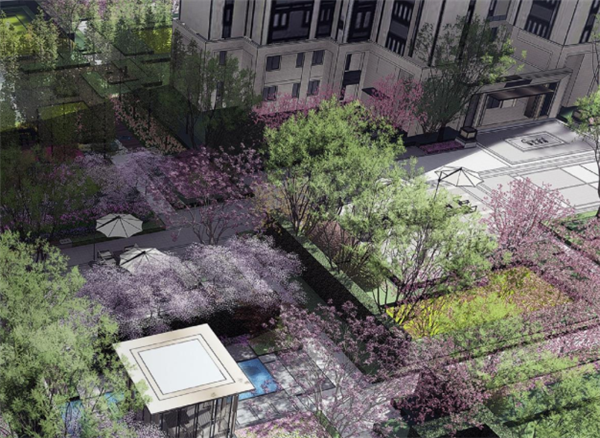 青島龍湖·春江彼岸：一周年 我有情話想對(duì)你說