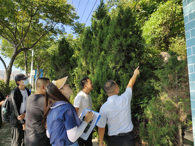 開展市容環(huán)境大整治——嶗山區(qū)城市管理局在行動