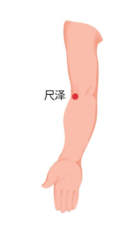 穴位_01