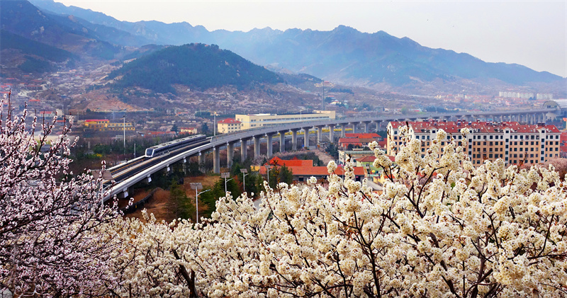 踔厲奮發(fā)奔未來 —嶗山區(qū)推進(jìn)經(jīng)濟(jì)社會高質(zhì)量發(fā)展紀(jì)實(shí)
