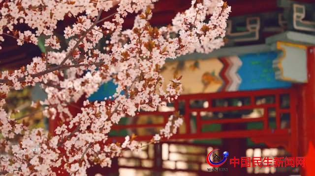 “凝聚精神的力量”恒星學院文化系列報道之一：成就他人 幸福你我