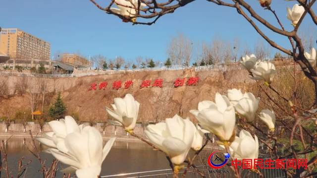 “凝聚精神的力量”恒星學(xué)院文化系列報道之十三：大學(xué)發(fā)展“123戰(zhàn)略”