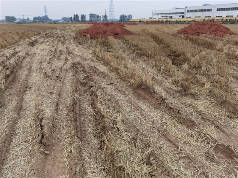 諸城市辛興鎮(zhèn)發(fā)展工業(yè)強行占耕地建廠，導致七八戶農(nóng)民無地可種