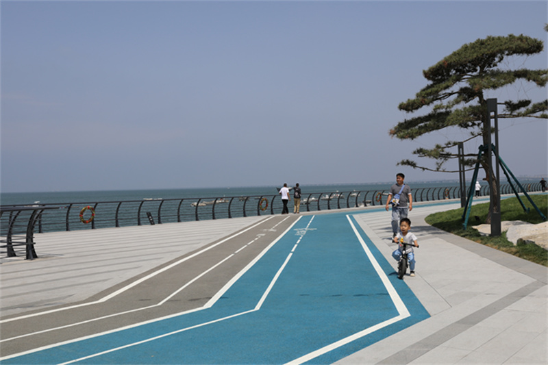 綠”動(dòng)海岸線，“道”處是風(fēng)景走，一起打卡市北濱海綠道看后海新“潮”