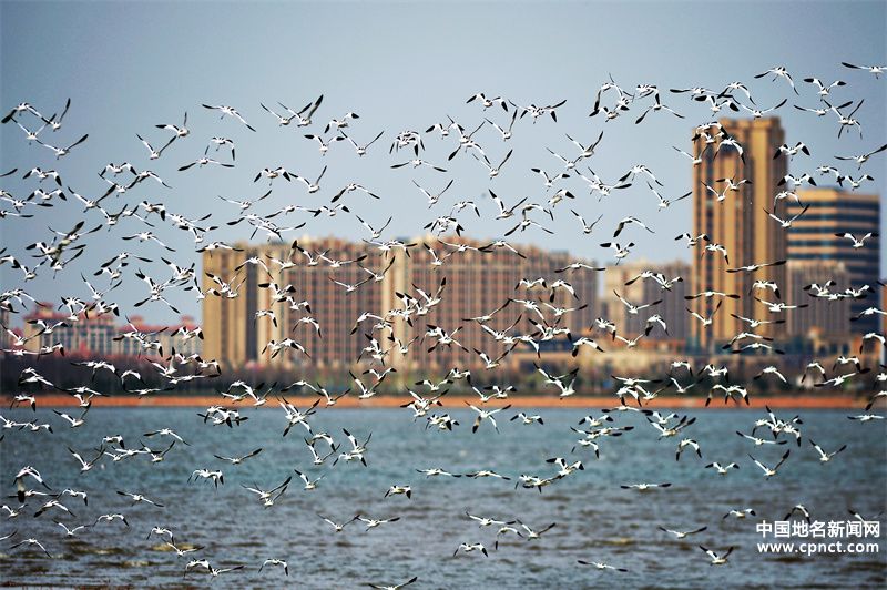 再添“國字號招牌”！青島市城陽區(qū)獲評生態(tài)文明建設(shè)示范區(qū)