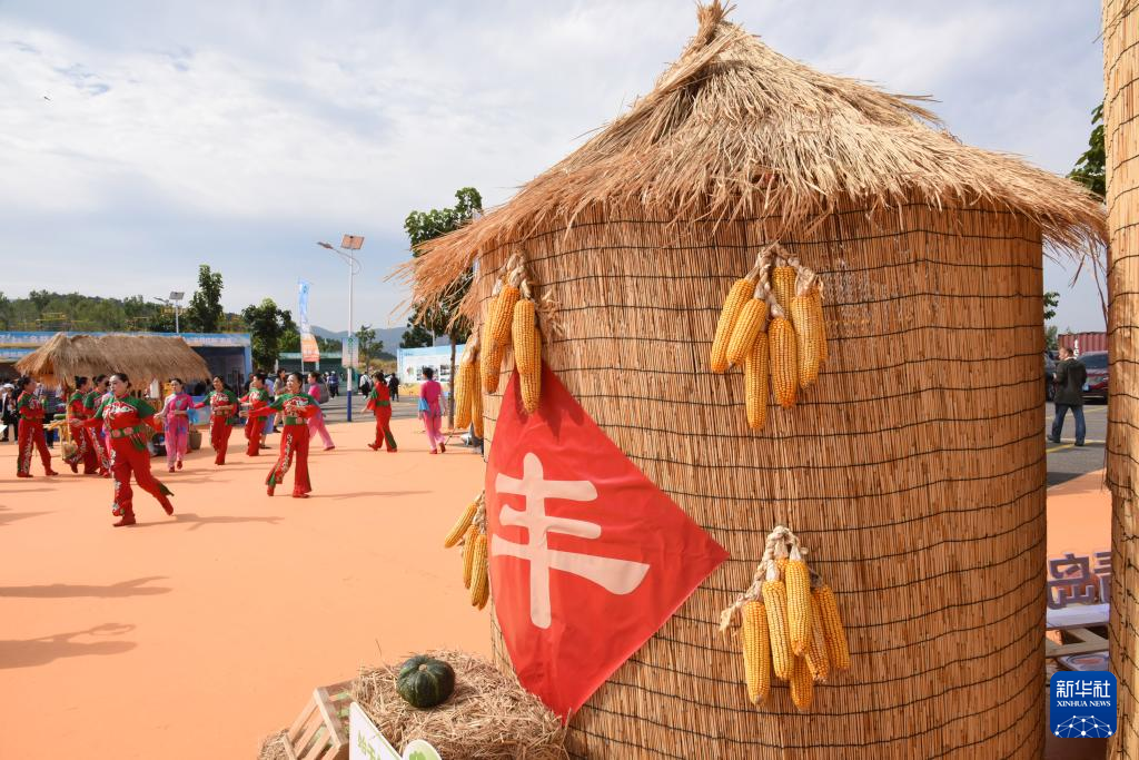 青島：慶祝豐收節(jié)