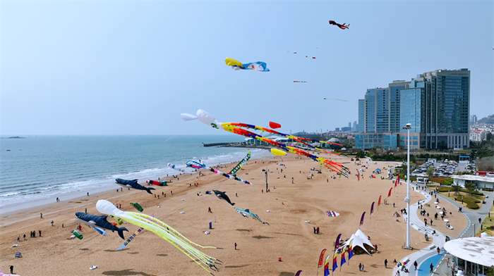  風(fēng)箏滿(mǎn)天飛  嶗山區(qū)石老人沙灘上演山海春日盛景