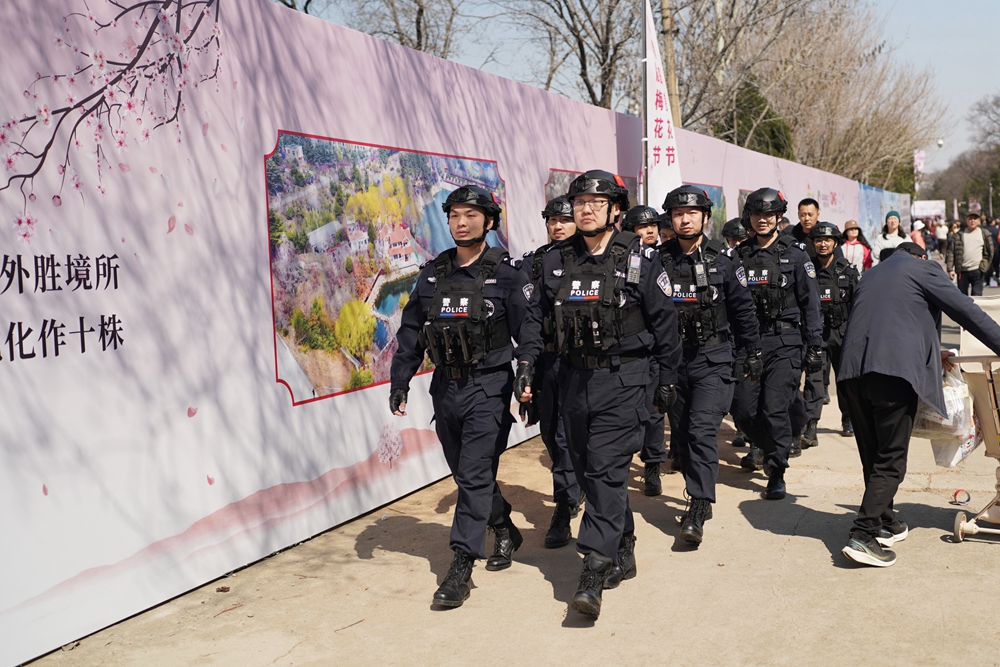 “齊魯守護·平安相伴”青島李滄赴梅園春約有藏藍身影相隨