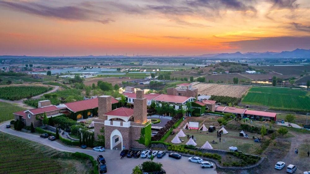 赴田園之約，發(fā)現(xiàn)一個(gè)“寶藏萊西”